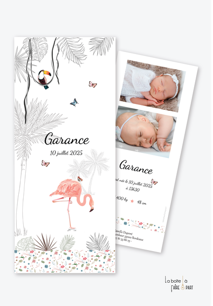 faire part naissance fille -jungle-savane-toucan-palmier-papillon-flamant rose-liane-savane-photo-format marque page-