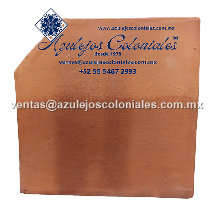 <img src="Loseta Cuadrada de Barro al Natural.jpg" alt=" Loseta Pentagonal de Barro al Natural hecha en México 100% a mano" />