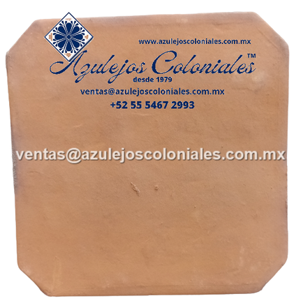 <img src="Loseta Cuadrada de Barro al Natural.jpg" alt=" Loseta Bendix de Barro al Natural hecha en México 100% a mano" />