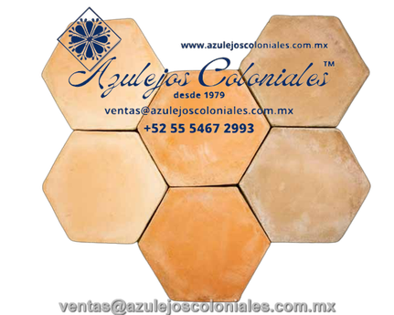 <img src="Loseta Cuadrada de Barro al Natural.jpg" alt=" Loseta Hexagonal de Barro al Natural hecha en México 100% a mano" />