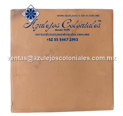 <img src="Loseta Cuadrada de Barro al Natural.jpg" alt=" Loseta Cuadrada de Barro al Natural hecha en México 100% a mano" />