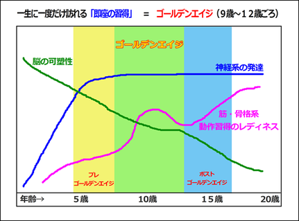 ゴールデンエイジ図