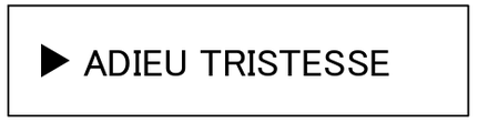 強化買取ブランド ADIEU TRISTESSE　アデュートリステス