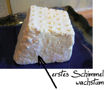 Käse reifen