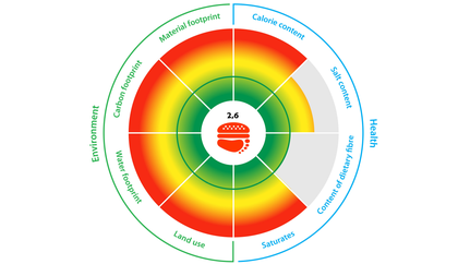 Lukas M et al.: Der Nutritional Footprint, Ergebnis-Darstellung