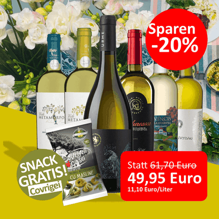 Frühlingsweine Probierpaket | 6-er Weinpaket