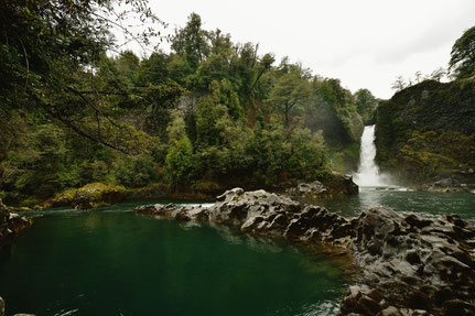 Vista selva en chile