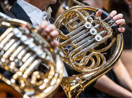 Horn