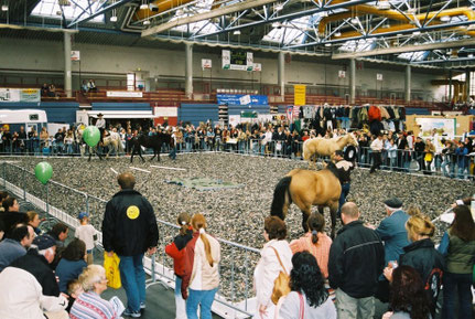 Reitsportmesse in der CONLOG ARENA