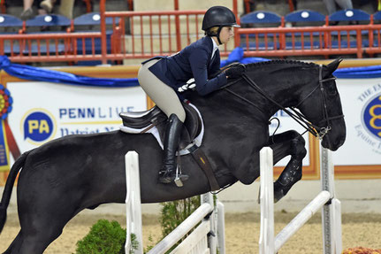 Madison Goetzmann, Amerikaans kampioene Equitation en 4* springamazone
