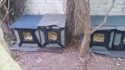 Winterquartier Katze, Styroporbox für Streunerkatzen