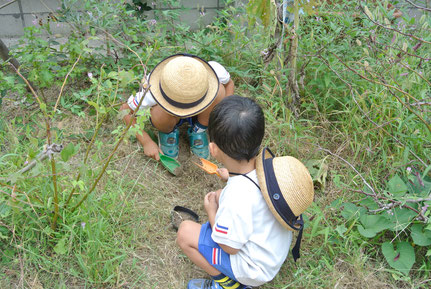 「う〜んかたくてほりにくいなあ」