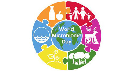 bactéries microbiome