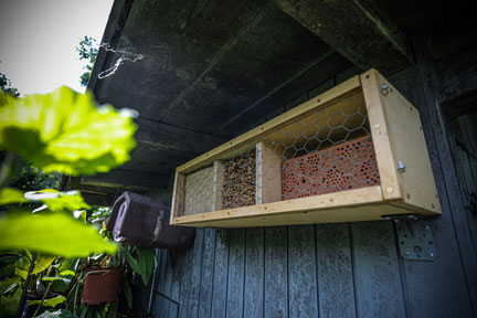 Foto: Naturgarten in Esslingen, Quelle: Lena Lux Fotografie & Bildjournalismus