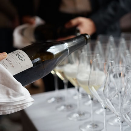 Service du champagne dans des verres pendant un atelier degustation de vins