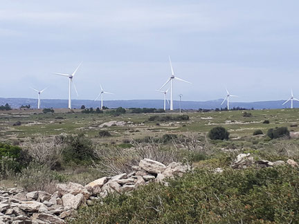 Randos Canétoises: Niveau 1 Circuit de la Palme Pla des Graniers Les Éoliennes le 7 novembre