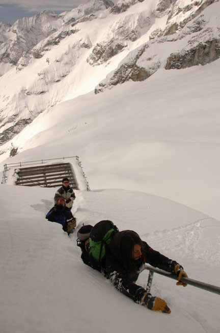 2 avril 2010, l'arrivée au refuge !