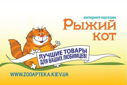 Рыжий кот интернет магазин