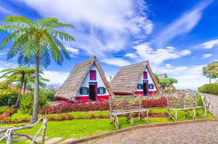 Madeira Santana Houses