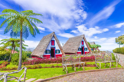 Madeira Santana Houses