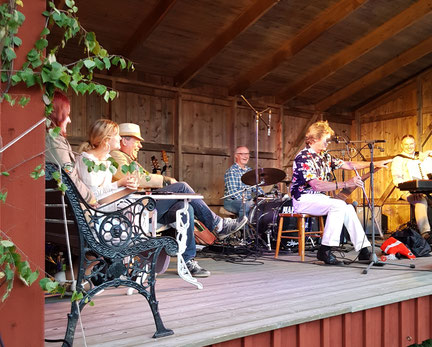 Håtteland, 2017.  Klasse Möllberg spelar på såg. Foto Ann-Marie