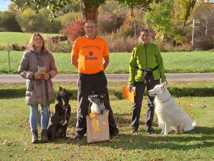 Drei Personen stehen auf einer Wiese, jede mit einem Hund. Die Hunde sitzen oder stehen, einer trägt eine gelbfarbene Schleife und sitzt vor einer Papiertüte.