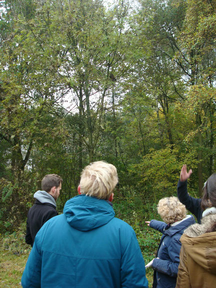 wandeling park Uithof