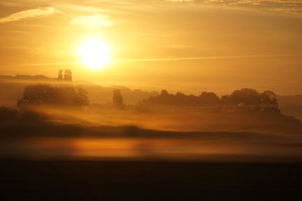 Ruine bei Burg Bocholt (Nettetal) im Morgennebel