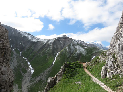 dogtrekking esdt harz-dogtrekking zugspitz-dogtrekking