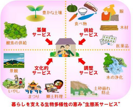 出典：札幌市「生物多様性の保全」ホームページからのイラスト