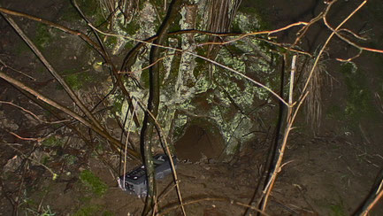 mit Batlogger (Fledermausdetektor) am Moosberg