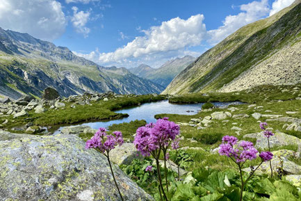 vorbei an Bergsee mit Blumen im Vordergrund zu urigen Hütten wandern - Urlaub in Finkenberg in den Ferienwohnungen  Brückenhof