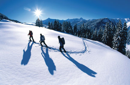 3 Skitourengeher bei Skiurlaub Finkenberg Tux in den Ferienwohnungen Brückenhof