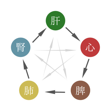 五臓の表