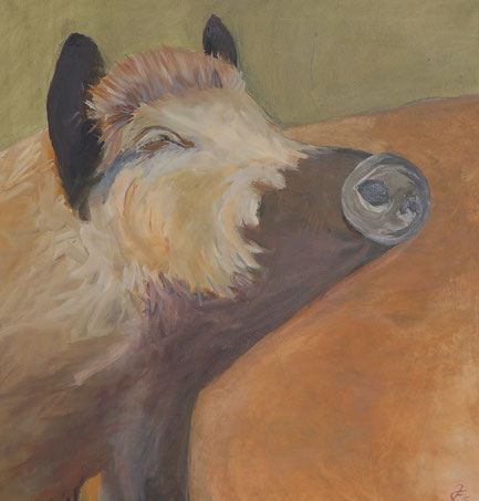 Wildschwein, 2015, Öl, 60 x 60 cm