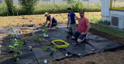 Création d'un potager