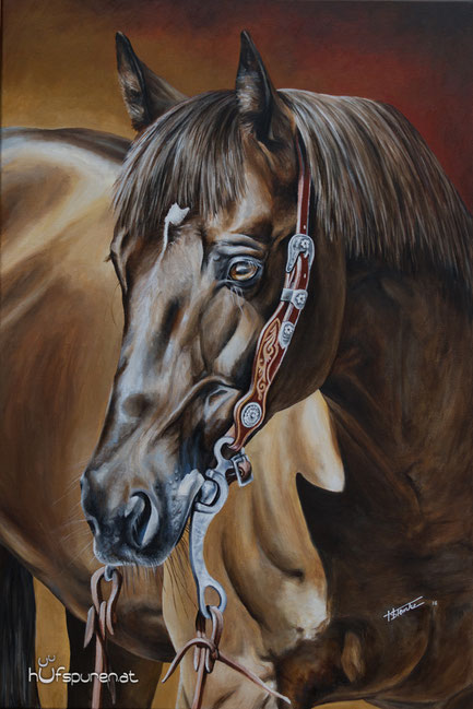 Quarter Horse "Topsail Chex Delmaso", Acyl auf Leinwand, 90x60, 2016, Pferdemalerei von Hanna Stemke/Hufspuren