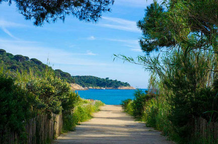 Saint-Tropez top things to do - Beach - Copyright Steve Lorillere