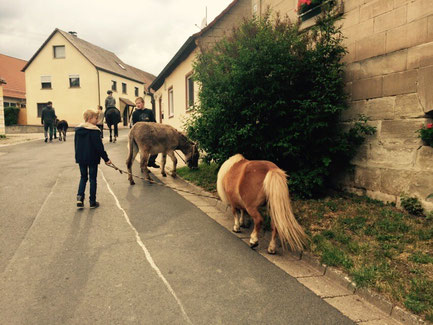 Flocke und Leo, Mr. Tom  und David, Bounty und Markus, Dominic, Heidi und Silvester. 