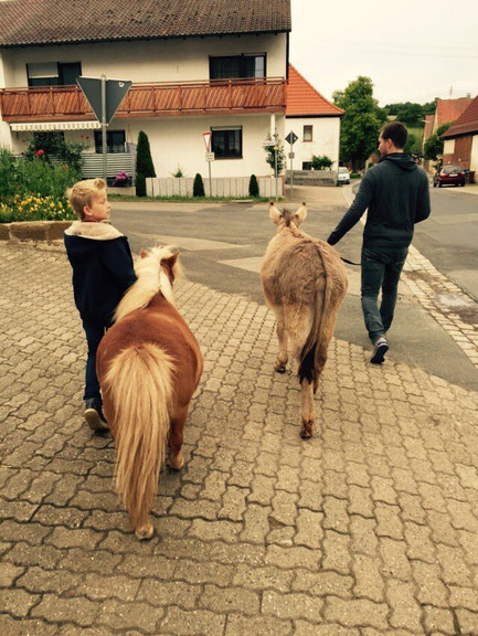 Flocke und Leo, Mr. Tom  und Markus (erste mal einen Esel geführt! :-))