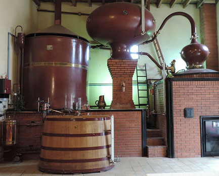 Séjour fixe en Charente - Visite d'une distillerie de cognac et pineau