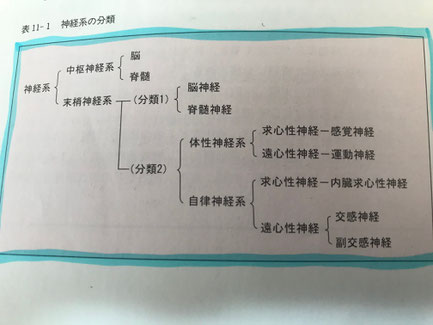 小牧 鍼灸 鍼治療 自律神経 腰痛
