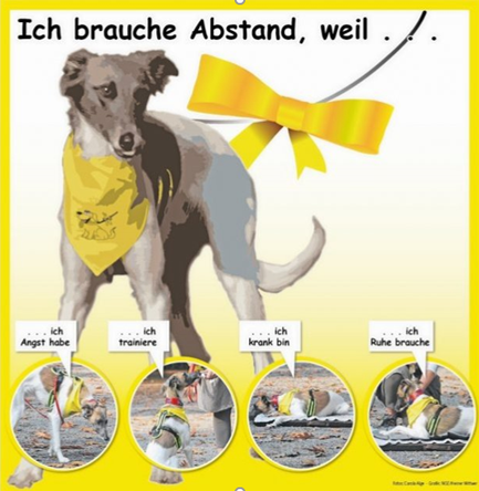 Gelbe Hunde