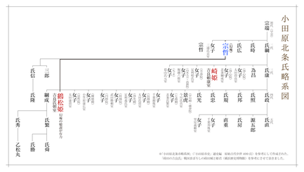 小田原 北条氏　略系図