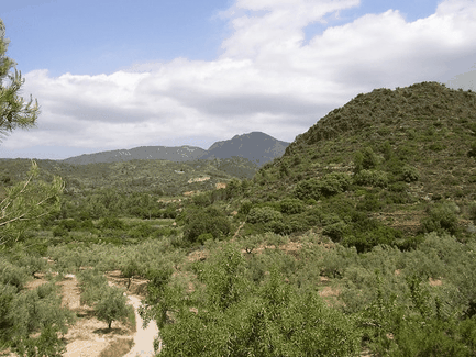 Parque Natural y protegido de la Sierra de Espadán, Castellón en la Comunitat Valenciana.