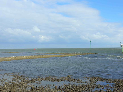 Das Wattenmeer mit Blick Richtung Festland. Die Fähre nach Harlingen erscheint als kleiner weißer Punkt 