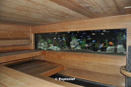 Aqua-sauna