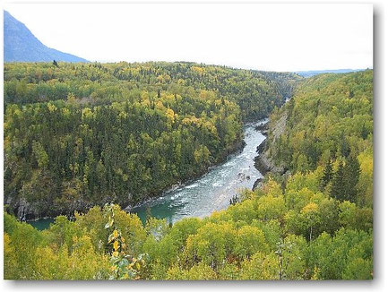 Bulkley River