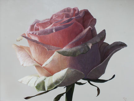 Witte roos met waterdruppels II