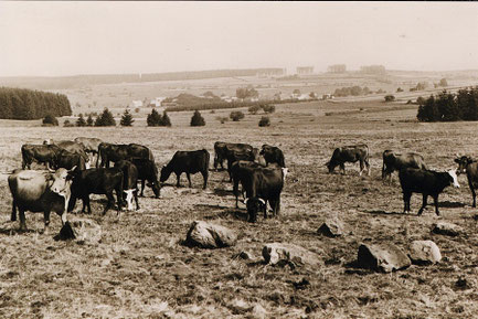 Foto: Landschaftsmuseum WW